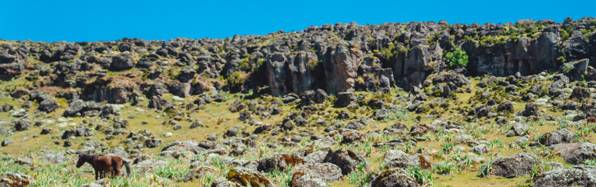 Bale Mountains Trekking Tour ETHTH07